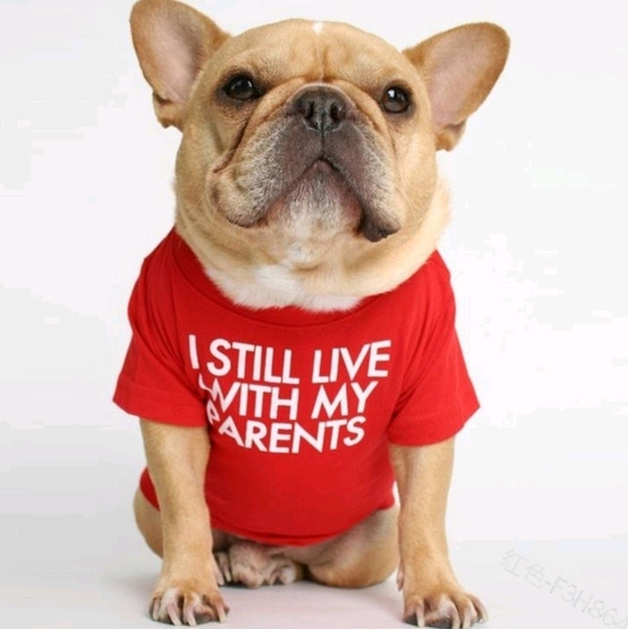 I still live with my parents Cute Red/Tangerine Pet Shirt for Dogs - Picture 1 of 2